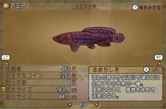 アミア
