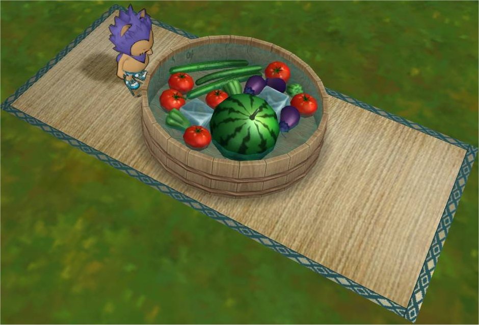 ゴザつき夏野菜のタライ