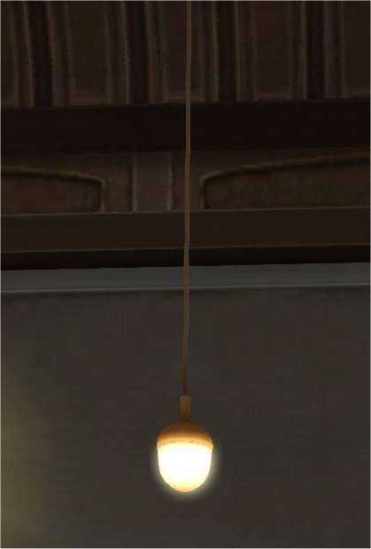 どんぐりのランプ