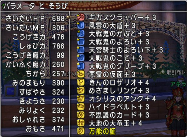 20170309パラディン
