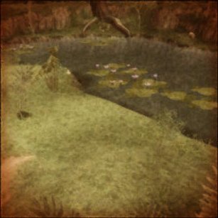 20161201お宝の写真3