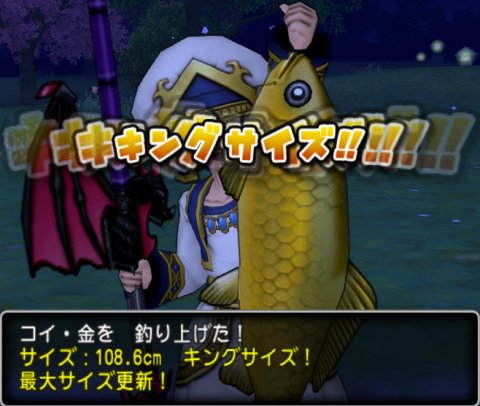 20160816コイ・金