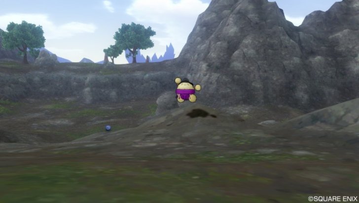 20170509おすもっこり