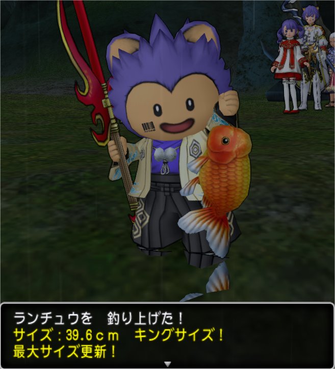 20200918ランチュウキング