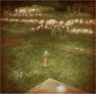 20200408お宝の写真