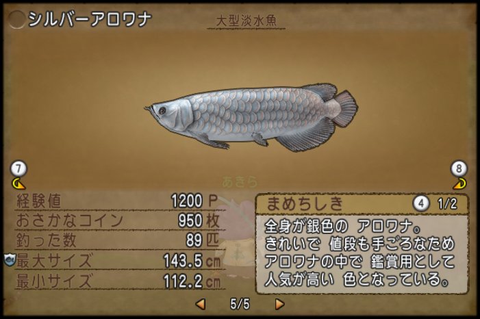 20190712シルバーアロワナ
