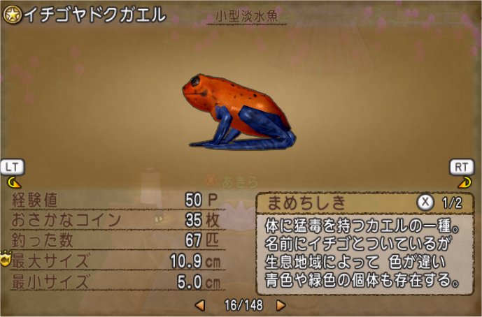 20200918イチゴヤドクガエル