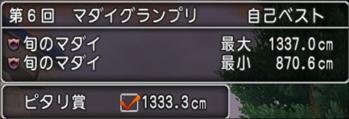 20211010第6回マダイグランプリ結果