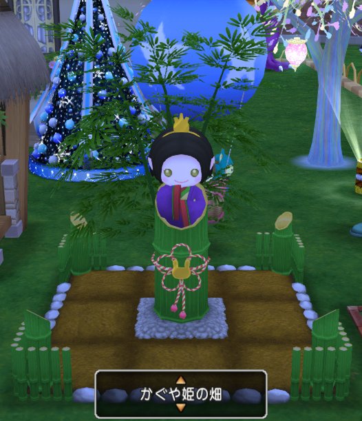 20170718かぐや姫の畑