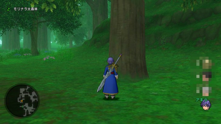 20170511モリナラ大森林