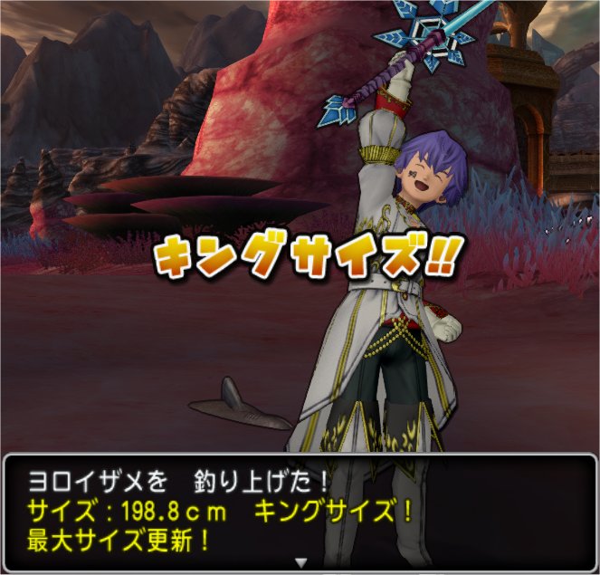 20200201ヨロイザメ