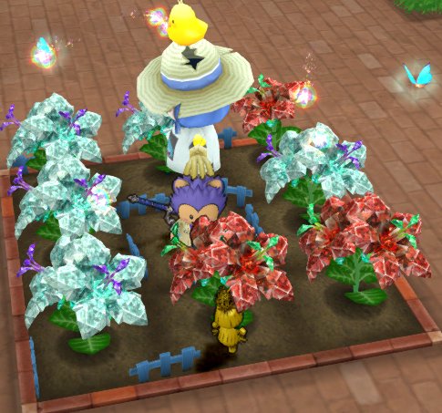 20180720レア度アップ水を7回使った結果