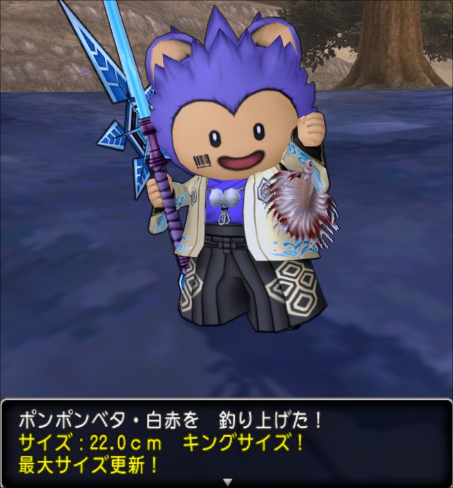 20200820ポンポンベタ・白赤