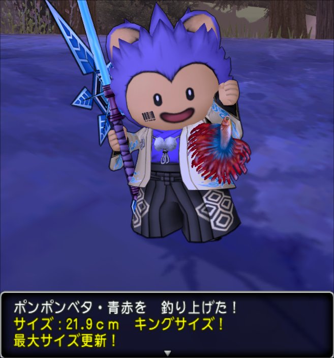 20200820ポンポンベタ・青赤