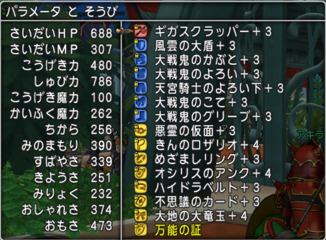 20170611パラディン