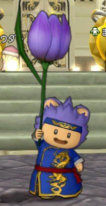 20170428紫色のチューリップ傘