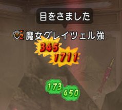 20160910グレイツェル1